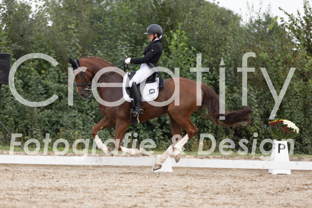 IMG_5719 | Creatify Fotografie