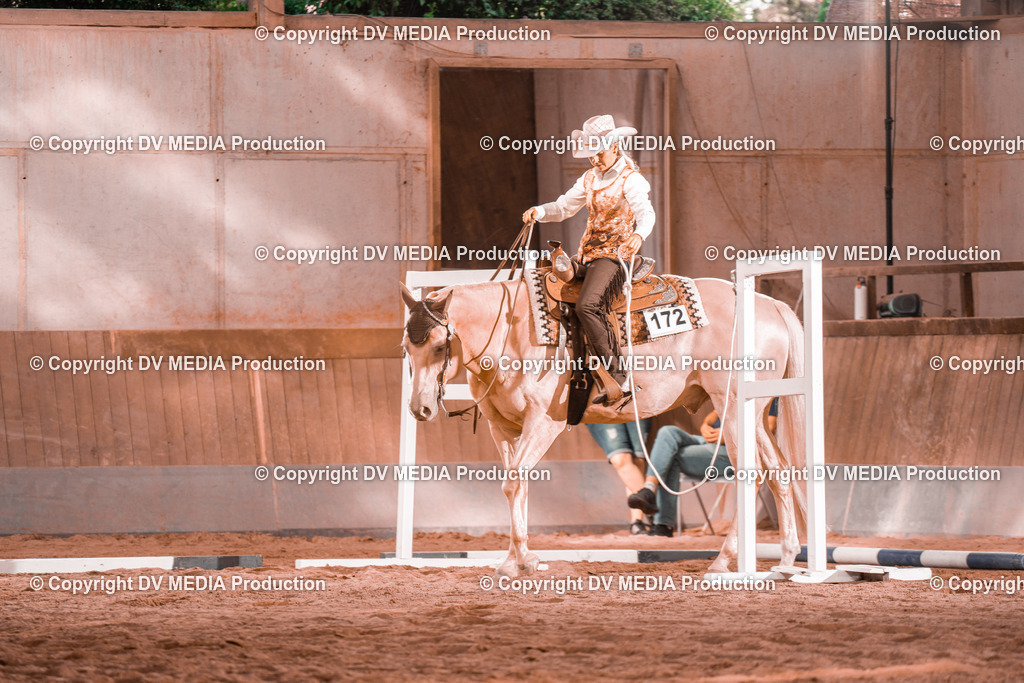 NE300176 | dv-media-shop - Realisiert mit Pictrs.com