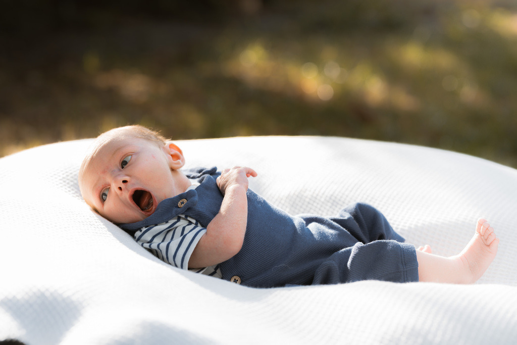 ZD260823180309 | Fotoshop von zweidimensional Fotografie. Ihr Fotograf im Aargau. Abzüge von Ihrem Fotobox Event bestellen.Abzüge von Ihrem Hochzeit bestellen.Abzüge von Ihrem Schulfotograf bestellen.