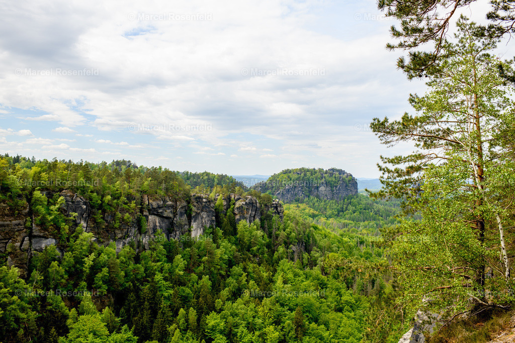 _DSC5044 | foto-rosenfeld