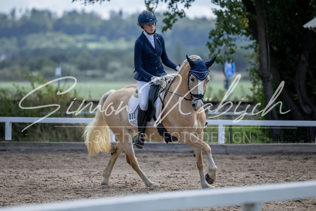 20260905-_3LI8249 | Tierfotografie Pferde, Hunde, Katzen, Haustiere.
Turnierfotografie Reitturniere, Reiten, Springreiten, Dressur in Hanau, dem Main-Kinzig-Kreis und dem Rhein-Main- Gebiet um Frankfurt