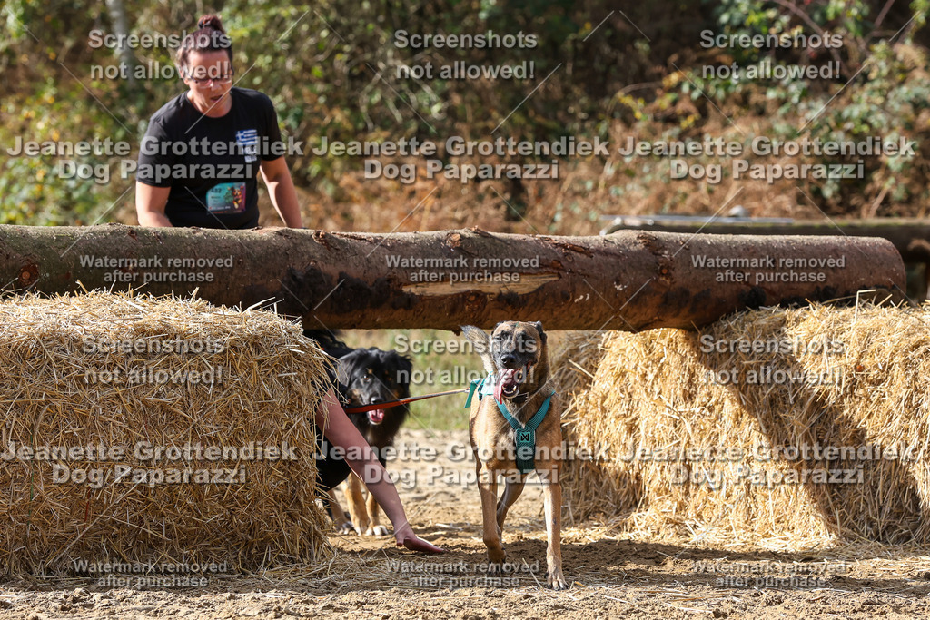 Dog Paparazzi - Strongdog 10-25-5024 | Dog Paparazzi Jeanette Grottendiek Fotografie & Videografie - Realisiert mit Pictrs.com