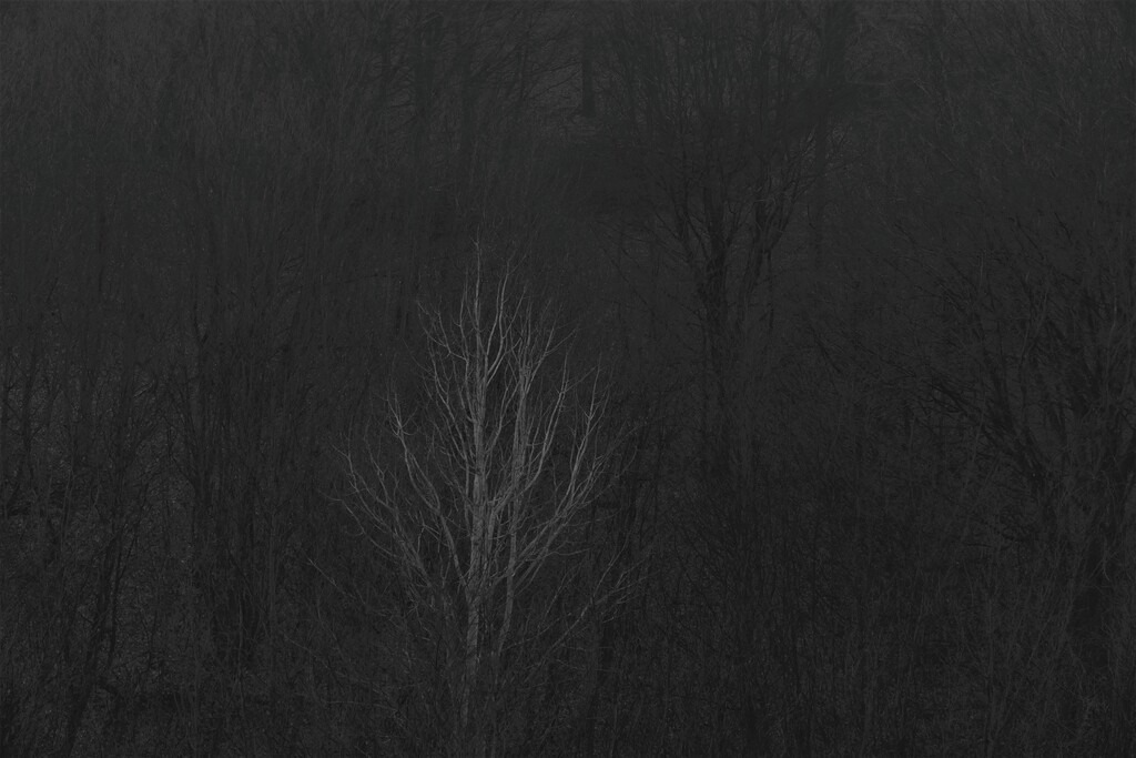 P1660964_a | Annaeherungen - Realisiert mit Pictrs.com