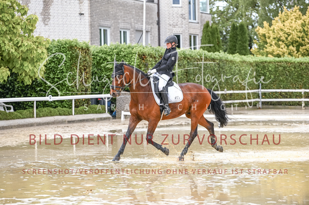 Schugtsche-Aluta25-54.Dressurprf.L1Trense-143 | Schugtsche Fotografie - Realizzato con Pictrs.com