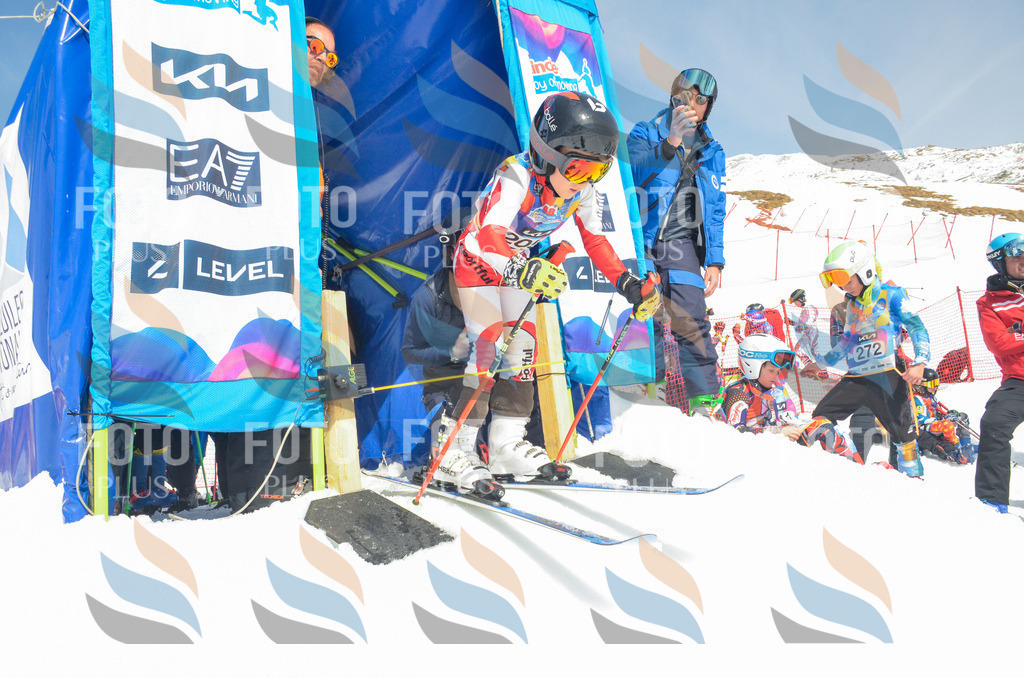 _ELE6975 | holidayphoto