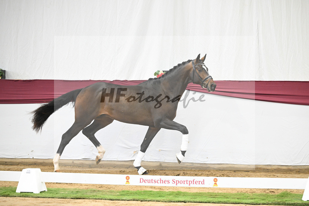 Kat-Nr. 13 Escaneno x De Niro-Christoph Wahler_47250228 | hf-fotografie - Realisiert mit Pictrs.com