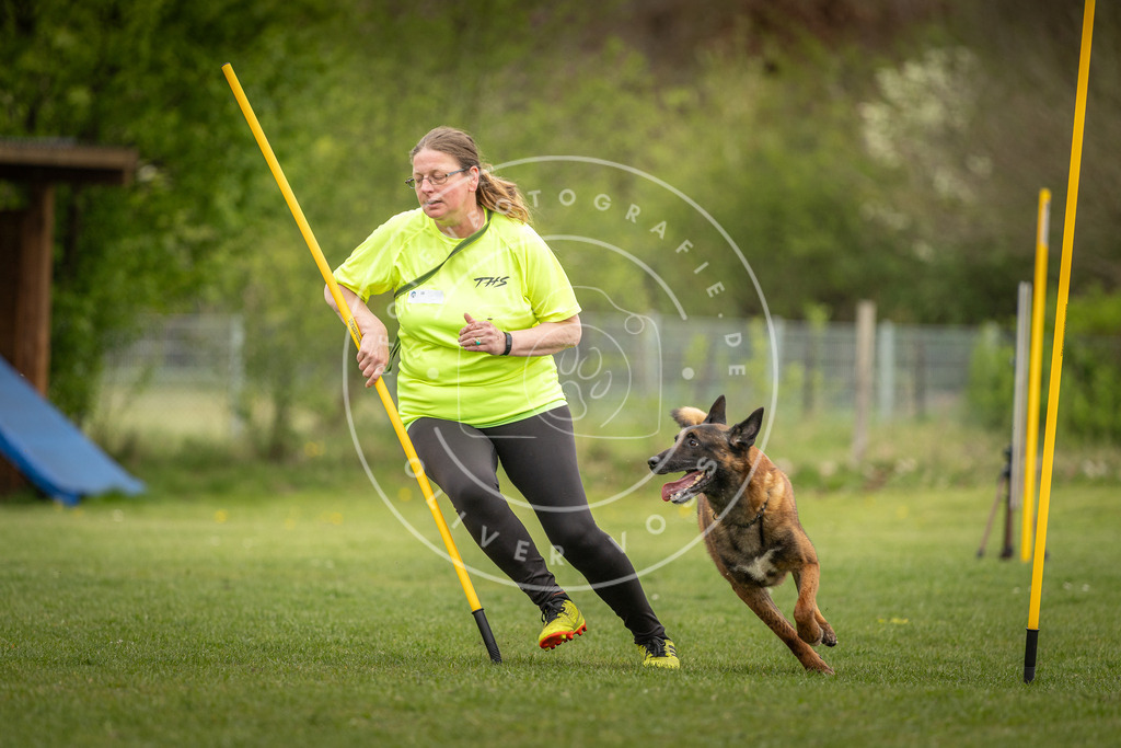 Pfotenfotografie_DV3A9525 | Hundefotografie, Tierfotograf, Pfotenfotografie, Fotoshooting Hund, Hunde Portrait, Hundesport, Hundeportraits, Heideshooting, Hunde, Sportfotograf, Hundefotograf, Turnierhundsport, THS,  - Realisiert mit Pictrs.com