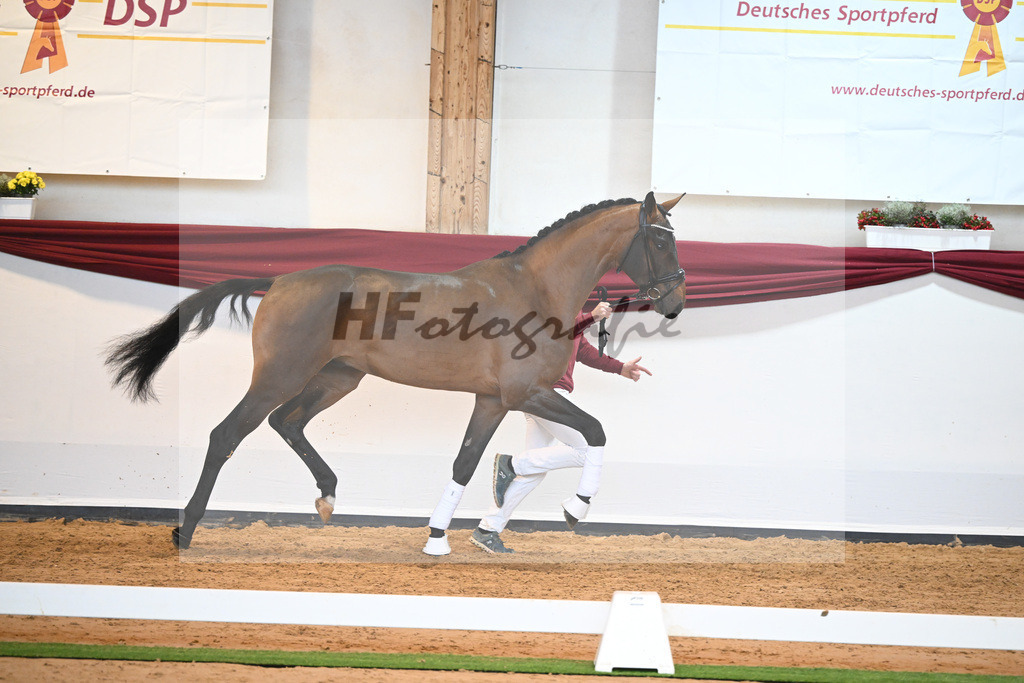 Kat-Nr. 10 v. Bonds_Klenk u Schneider-Gaertner_66221707 | hf-fotografie - Realisiert mit Pictrs.com