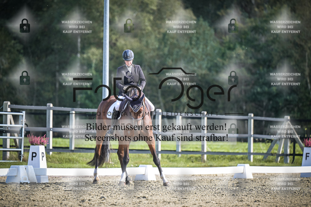 DOS_1055 | Entdecke hochwertige Reitturnierfotos von Foto Oger. Professionell, emotional und authentisch – jetzt Lieblingsmomente im Shop bestellen.Deutschlandweite Turnierfotografie. - Realisiert mit Pictrs.com