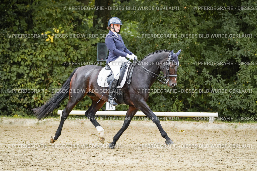 DSC06182 | Pferdegrafie