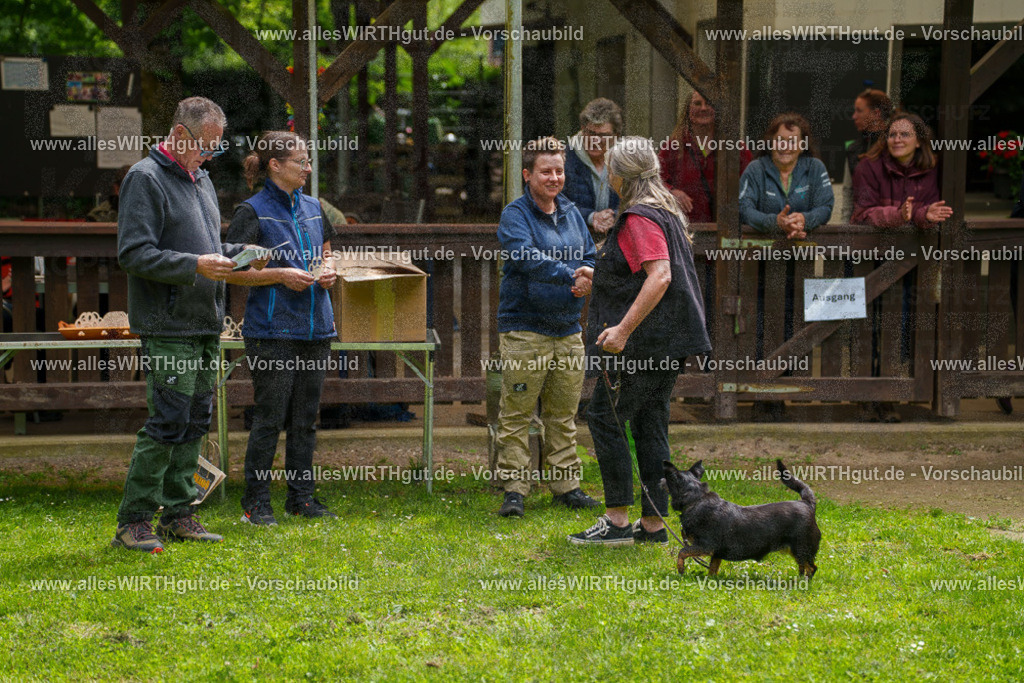@allesWIRTHgut_Tierfotografie - www.allesWIRTHgut.de - 114811-7R508548 | Professionelle Tierfotografie in Mönchengladbach von Daniel Wirth (allesWIRTHgut). Liebevolle & natürliche Bilder von Hunden & Katzen für unvergessliche Erinnerungen.