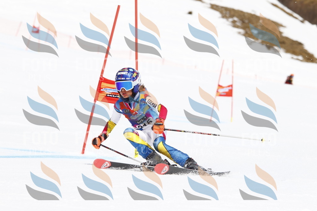 _U3G5554 | holidayphoto