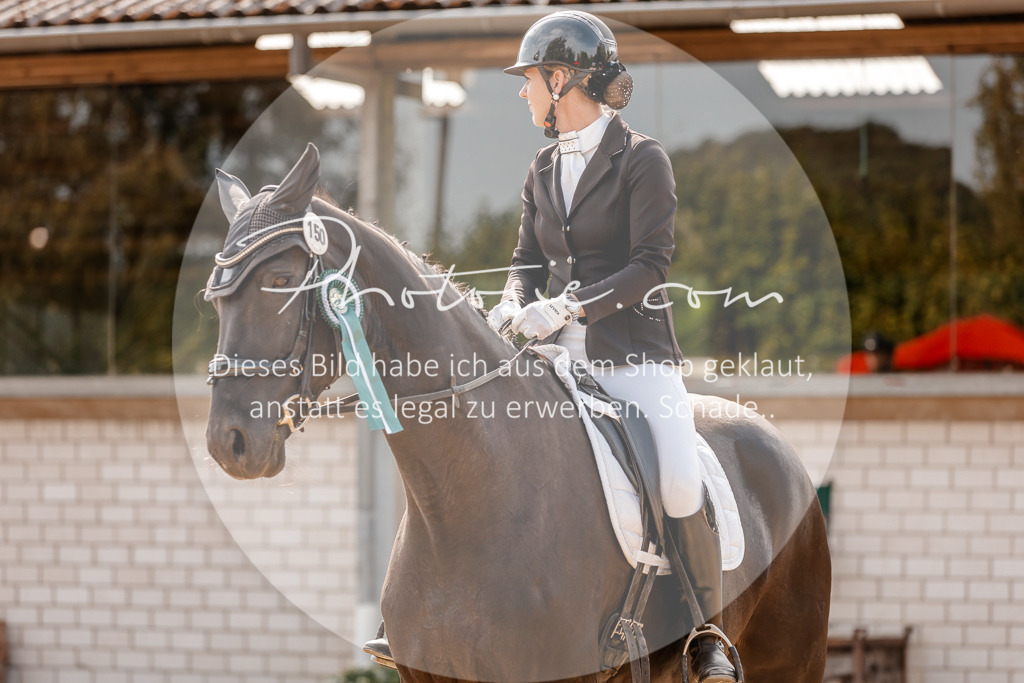 3I6A4545 | Stimmungsvolle Portraits und Reitsportfotografie im Ruhrgebiet und im Münsterland.

Pferdefotografie, Hundefotografie, Tierfotografie, Reportagen, Portraits von Tier und Mensch, Turnierfotografie in Bochum, Recklinghausen, Marl, Haltern am See, Dülmen.. - Realisiert mit Pictrs.com