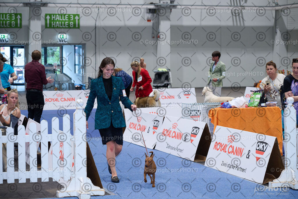 202406_ÖKV-IHA-Tulln24_NZ9_9595 | proPHOTO - Realisiert mit Pictrs.com