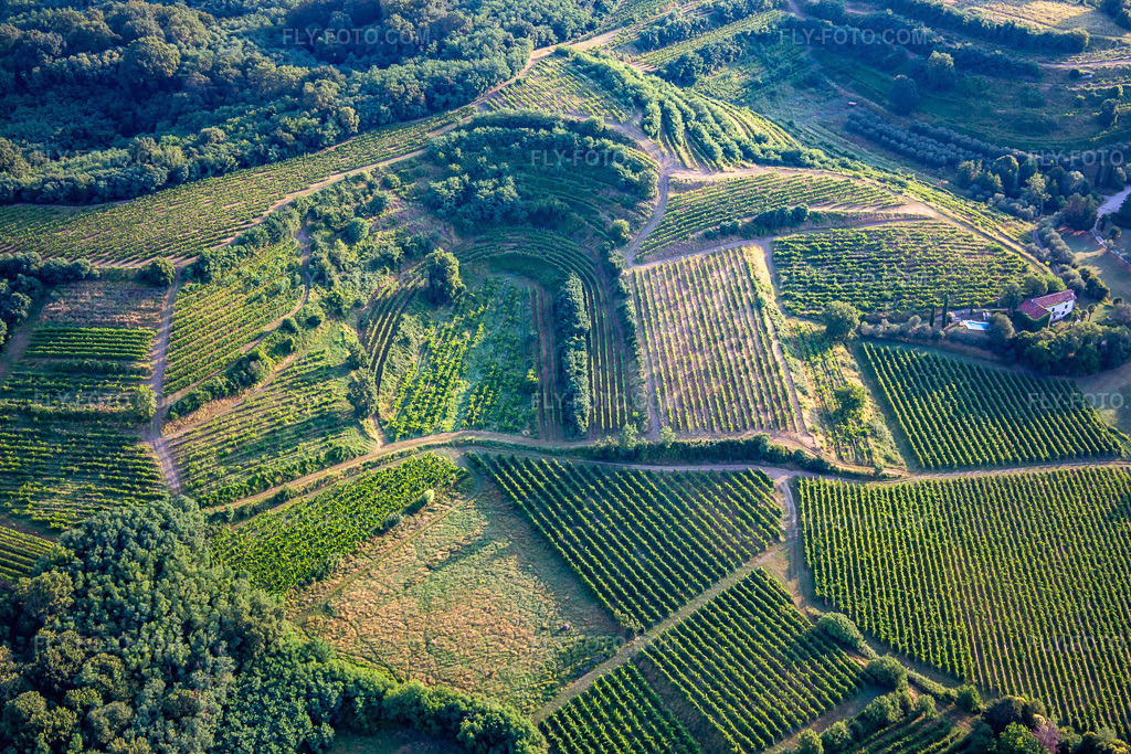 Aerial view: Vineyards in Mossa in the state Gorizia, Italy. – Photo: IMG_137598.jpg taken on 07/16/2023 by Werner Riehm/FLY-FOTO.com – Resolution of the original: 5472 x 3648 px