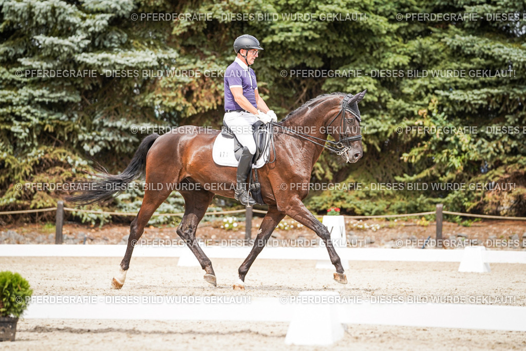 DSC06289 | Pferdegrafie