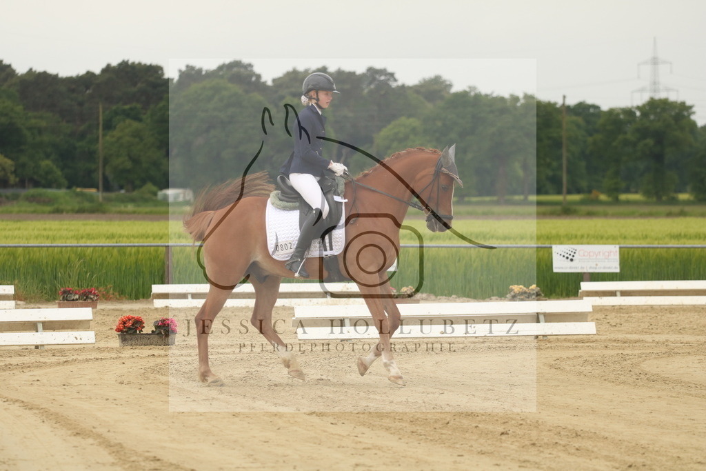 IMG_6511 | jessicahollubetz_pferdephotographie - Realisiert mit Pictrs.com
