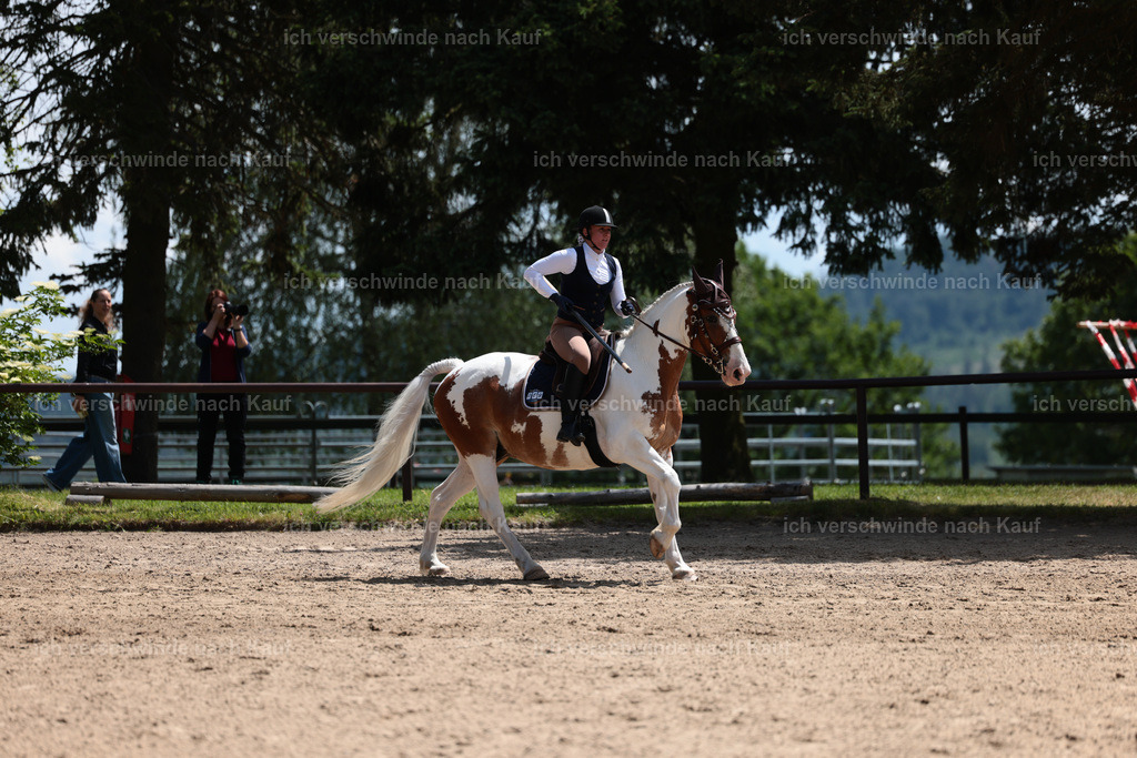 KlasseA_Stoibphotography_C2_L5562.JPG | working equitationturnier fotograf videograf stoibphotography marixx film working equitation deutschland reitsport turnierfotografie eventfotografie equestrian events