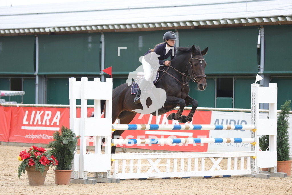 0P6A2653 | Willkommen bei Brunnmayr - Design & Fotografie – Ihrem Spezialisten für Reitturniere und Pferdeveranstaltungen in Oberösterreich, Salzburg und Bayern! Seit über 17 Jahren sind wir leidenschaftlich dabei.