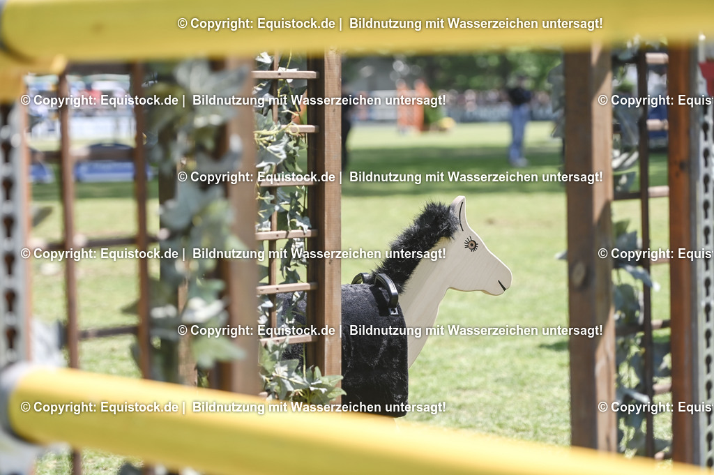 D78_3575 | equistock