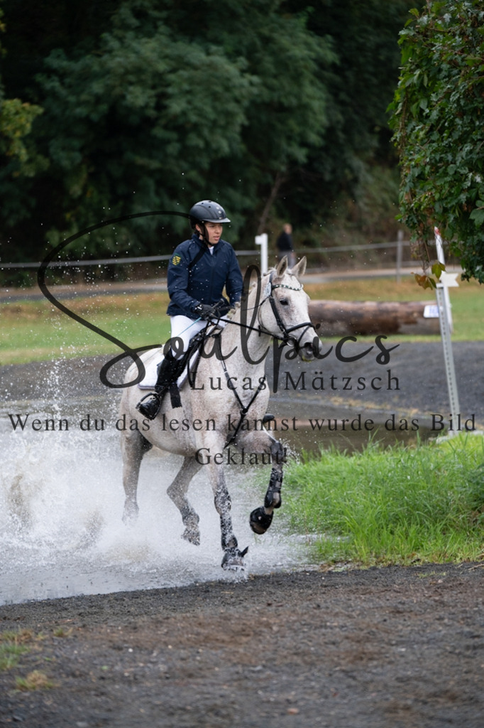 A7V00093 | Pferdefotograf