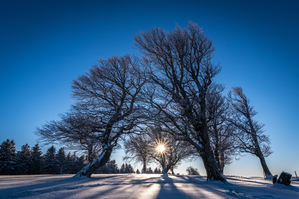 schauinsland_150225-26 | <div id="allefotografen-seal-verified-green"></div><script src="https://www.allefotografen.de/956728/seal-verified-green/seal.js" async="async"></script> - Realisiert mit Pictrs.com