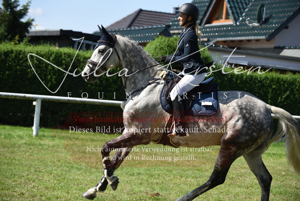 DSC_9137 | Pferde- und Turnierfotografie in Westsachsen. Pferdeportraits, Auftragszeichnungen und intuitive Kunst.