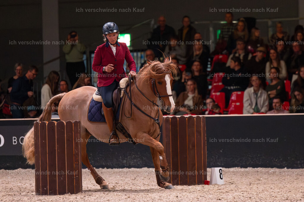 JoseraCup-75 | working equitationturnier fotograf videograf stoibphotography marixx film working equitation deutschland reitsport turnierfotografie eventfotografie equestrian events