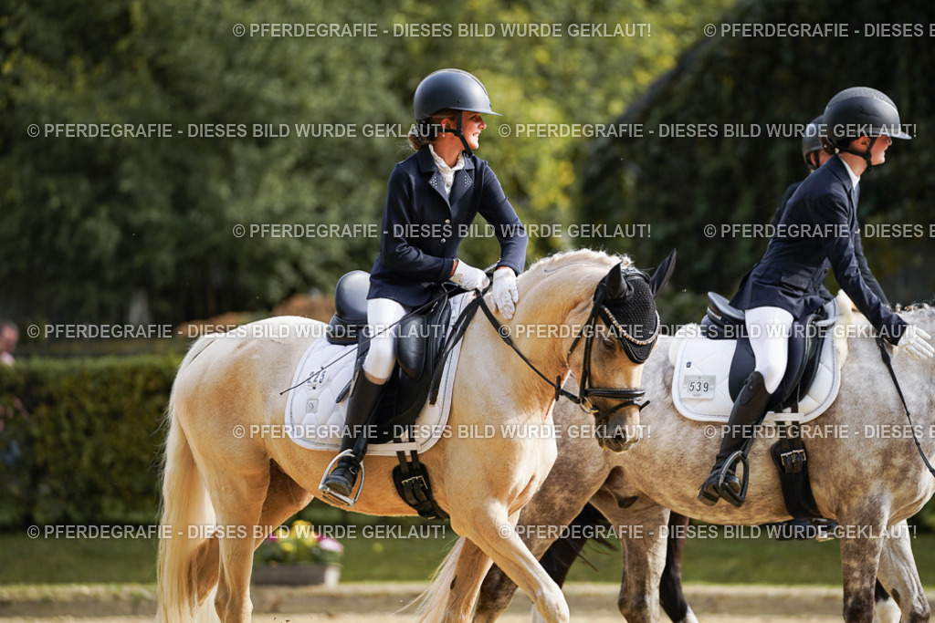 DSC05024 | Pferdegrafie