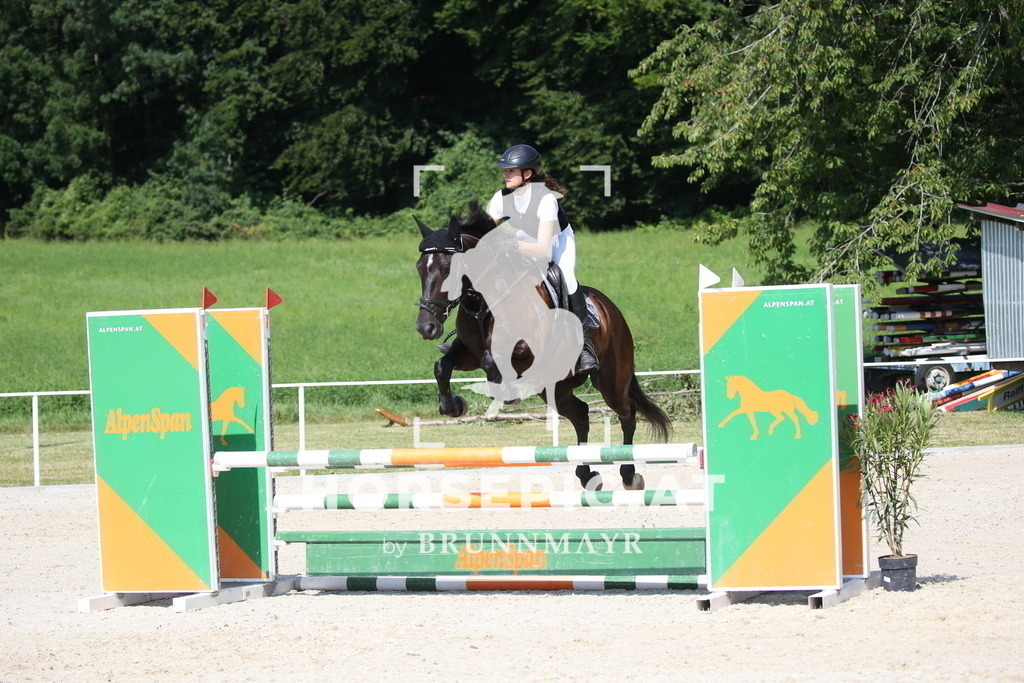 DL2Q1245 | Willkommen bei Brunnmayr - Design & Fotografie – Ihrem Spezialisten für Reitturniere und Pferdeveranstaltungen in Oberösterreich, Salzburg und Bayern! Seit über 17 Jahren sind wir leidenschaftlich dabei.
