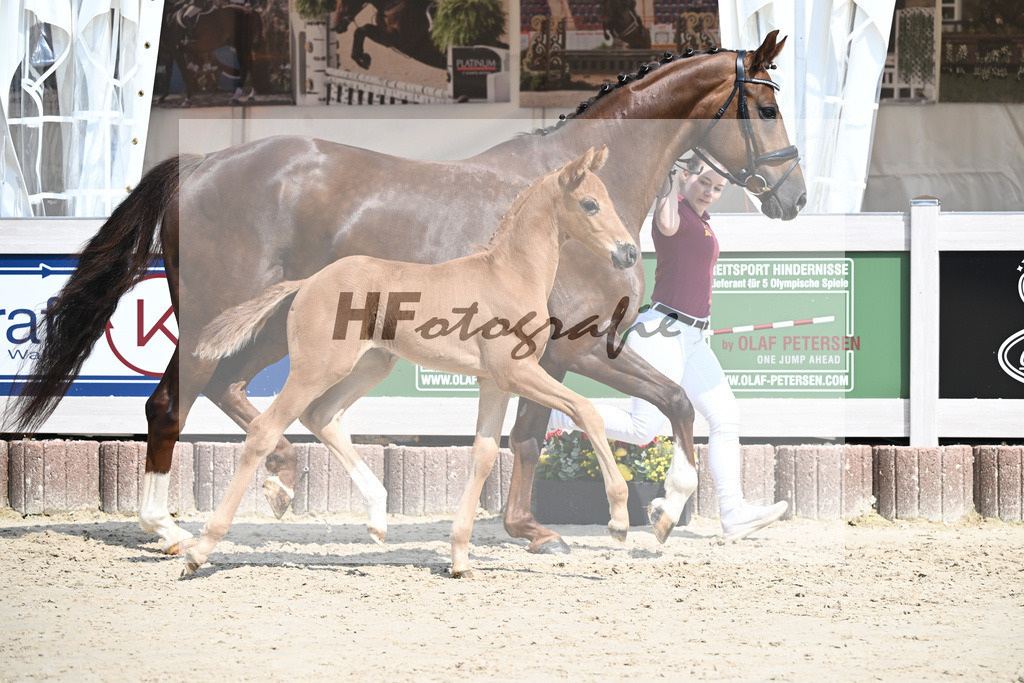 Va Bene x Savoy_HF_Groll_12250359 | hf-fotografie - Realisiert mit Pictrs.com