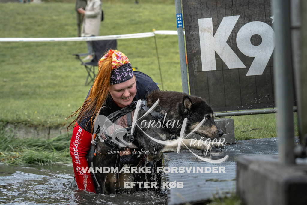1538_ZZ95920 | kk-dogfotos
