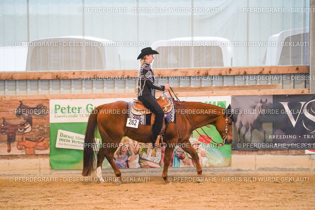 DSC08784 | Pferdegrafie