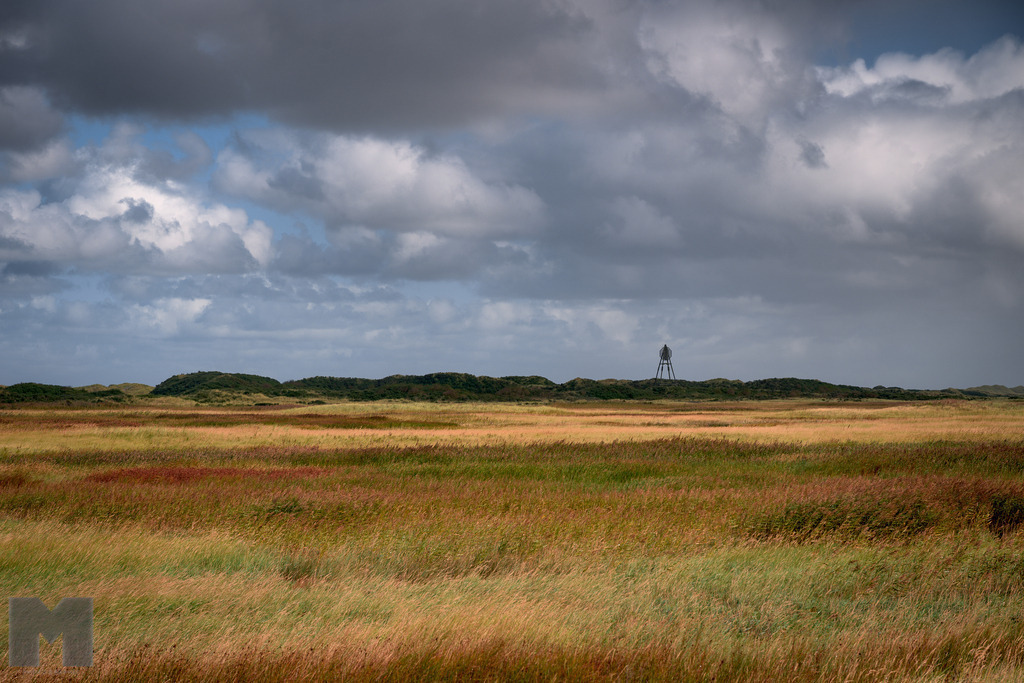 Seebake am Ostende von Amrum | Landschafts- und Tierfotografie zu allen Jahreszeiten. Und immer die Schönheit des Lichtes im Auge... - Realisiert mit Pictrs.com