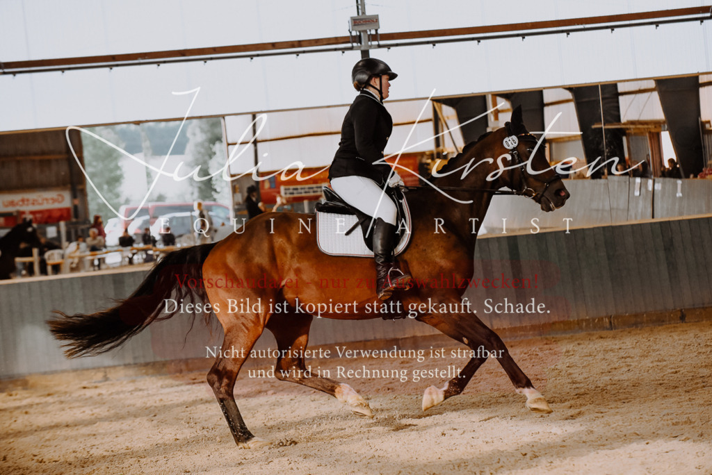 DSC_7536 | Pferde- und Turnierfotografie in Westsachsen. Pferdeportraits, Auftragszeichnungen und intuitive Kunst.