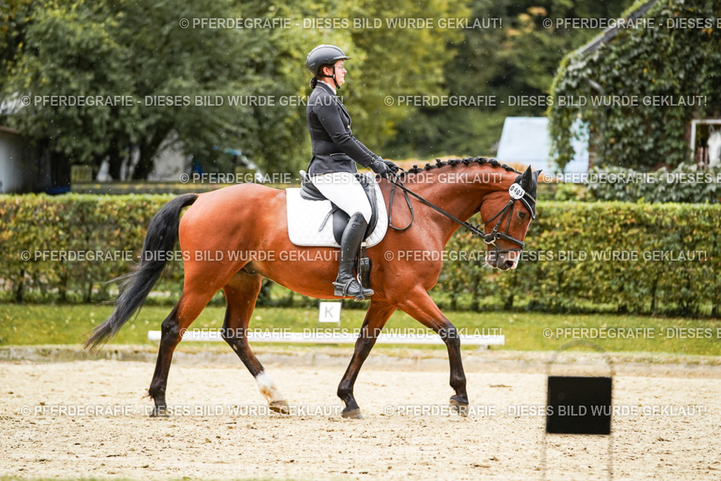 DSC07243 | Pferdegrafie