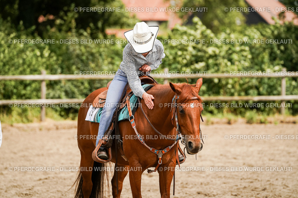 DSC00628 | Pferdegrafie