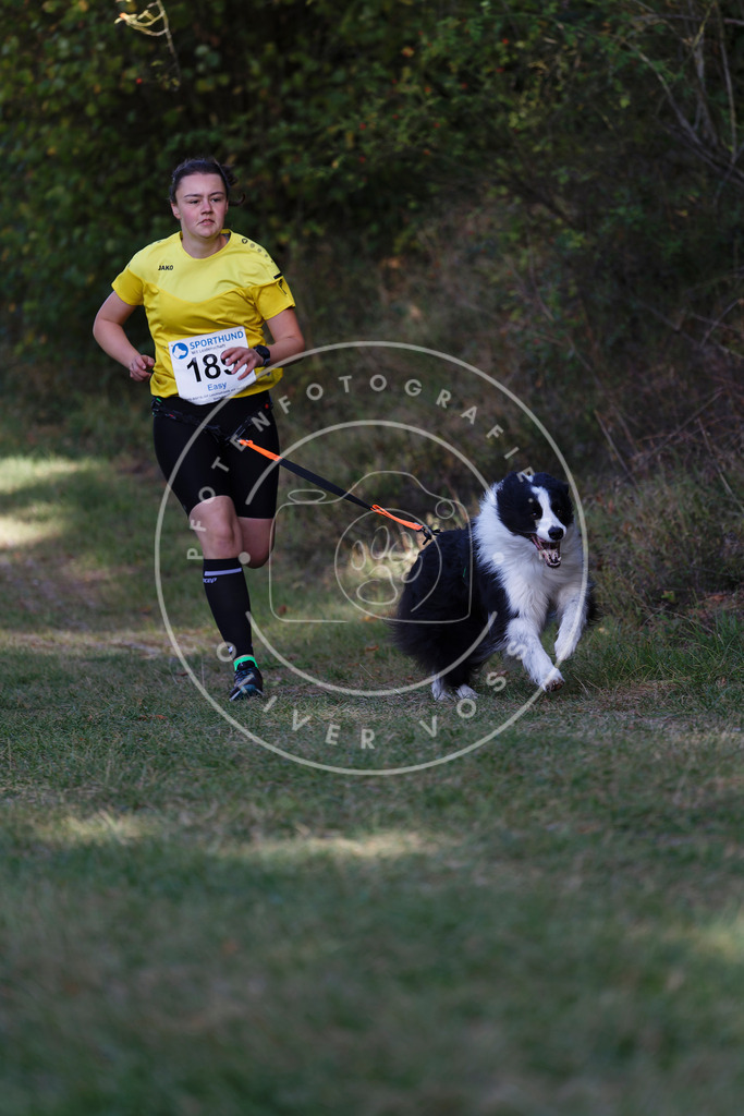 0L8A5698 | Hundefotografie, Tierfotograf, Pfotenfotografie, Fotoshooting Hund, Hunde Portrait, Hundesport, Hundeportraits, Heideshooting, Hunde, Sportfotograf, Hundefotograf, Turnierhundsport, THS,  - Realisiert mit Pictrs.com