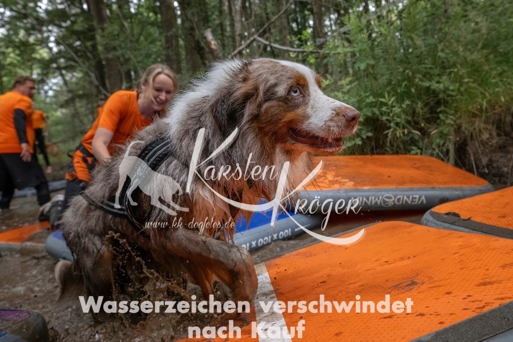 0907_ZZ90273T | kk-dogfotos