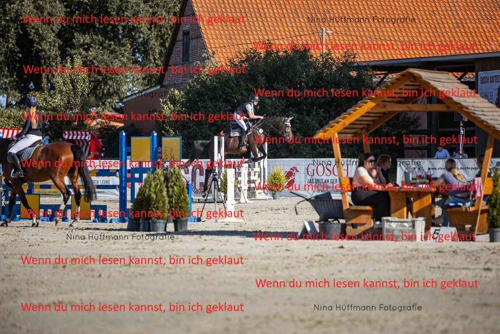 BK1A7479 | Turnierbilder Turnierfotos Nina Hüffmann Turnierfotografie Pferdefotografie Tierzeichnung Haustierzeichnung Pferdezeichnung Hundezeichnung Videograf  - Realisiert mit Pictrs.com