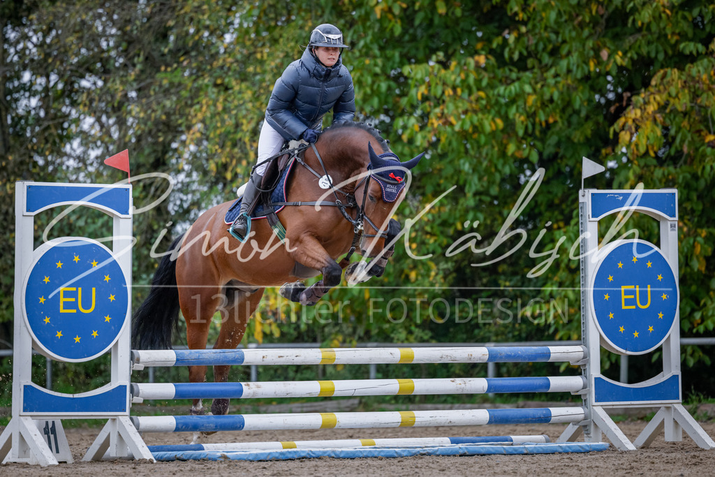 20251012-_3LI3743 | Tierfotografie Pferde, Hunde, Katzen, Haustiere.
Turnierfotografie Reitturniere, Reiten, Springreiten, Dressur in Hanau, dem Main-Kinzig-Kreis und dem Rhein-Main- Gebiet um Frankfurt