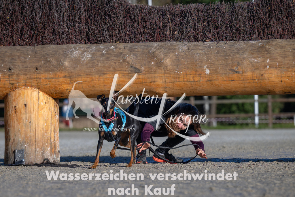 1030-_ZZ91457 | kk-dogfotos
