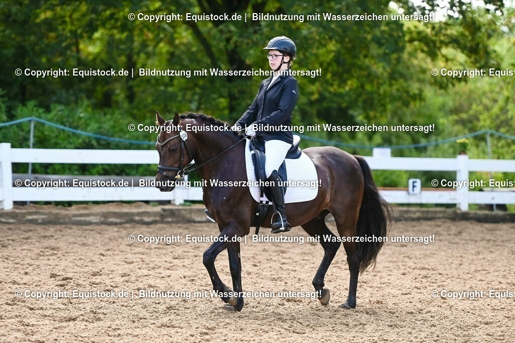 20230716_04_Dressurreiterprüfung Kl.A_0466 | equistock