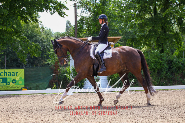 DKP40946 | Turnierfotos kaufen im Webshop von Daniel Kuhl Photography – entdecke professionelle Reitsportfotos aus Turnieren & Events. Hochwertige Turnierbilder online bestellen & sichern. Jetzt Fotos von Reitsportturnieren kaufen!