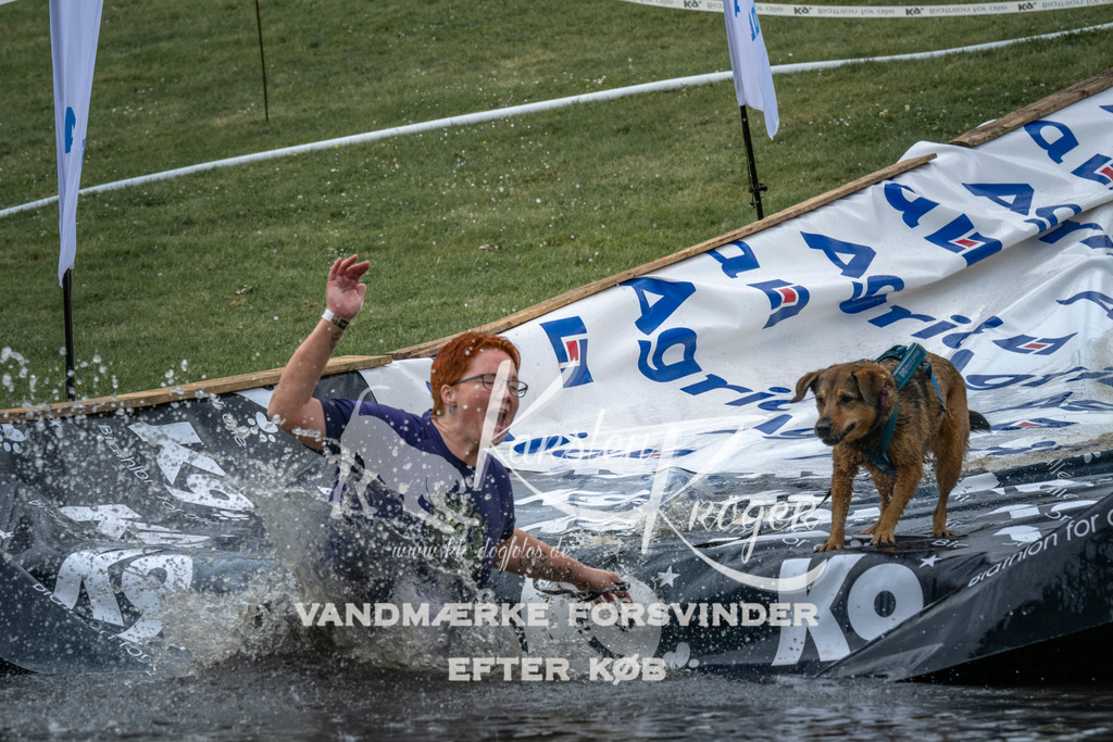 1533_ZZ95519 | kk-dogfotos
