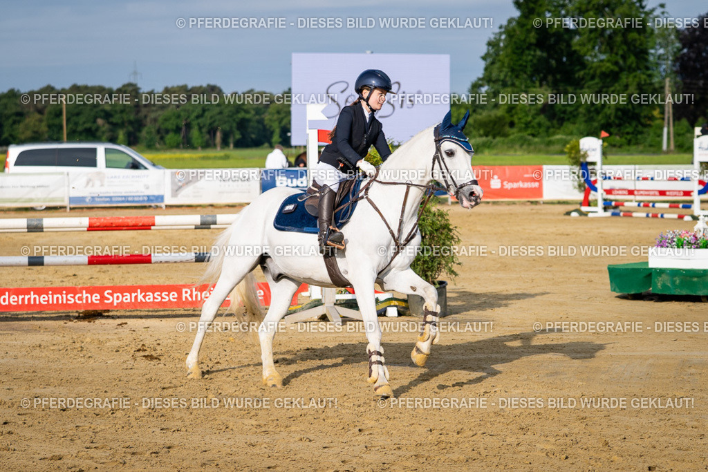 DSC02960 | Pferdegrafie