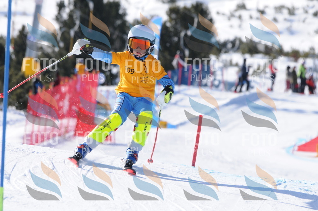 C7116 | holidayphoto