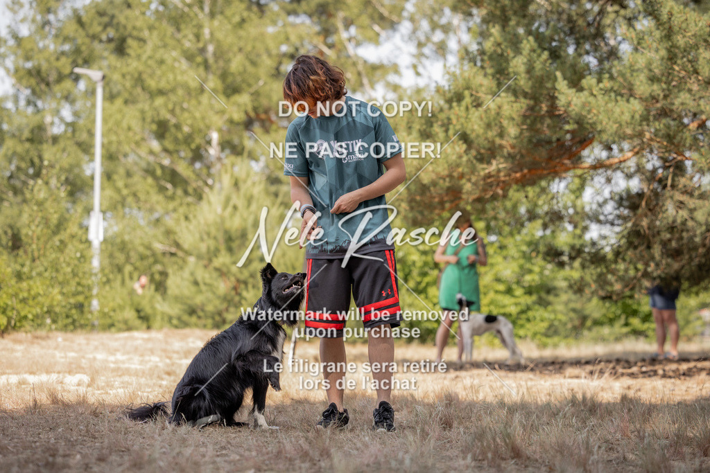 nelerasche_soDD2_327 | nelerasche