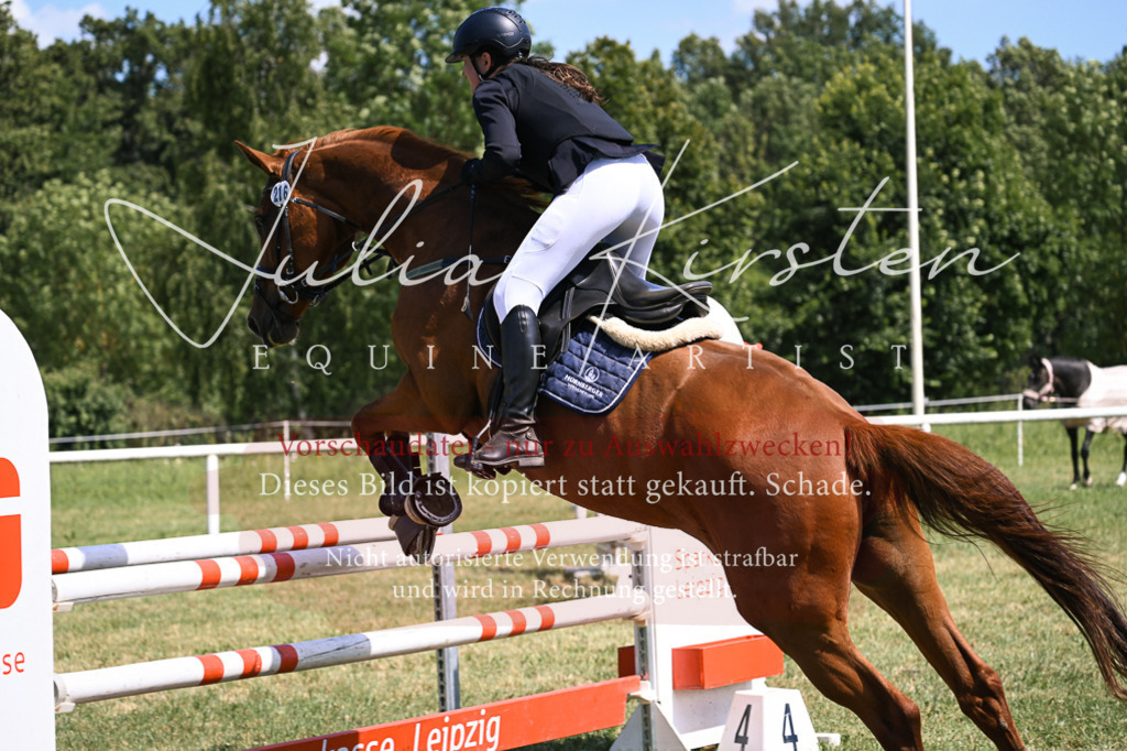 DSC_0363 | Pferde- und Turnierfotografie in Westsachsen. Pferdeportraits, Auftragszeichnungen und intuitive Kunst.