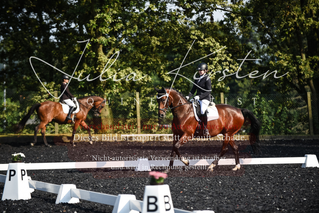 DSC_3209 | Pferde- und Turnierfotografie in Westsachsen. Pferdeportraits, Auftragszeichnungen und intuitive Kunst.